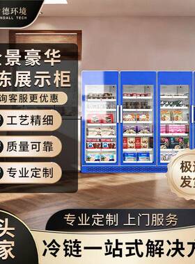 冷冻展示柜商用速冻柜急冻肉类冻品三门立式冰箱双门展示低温冰柜