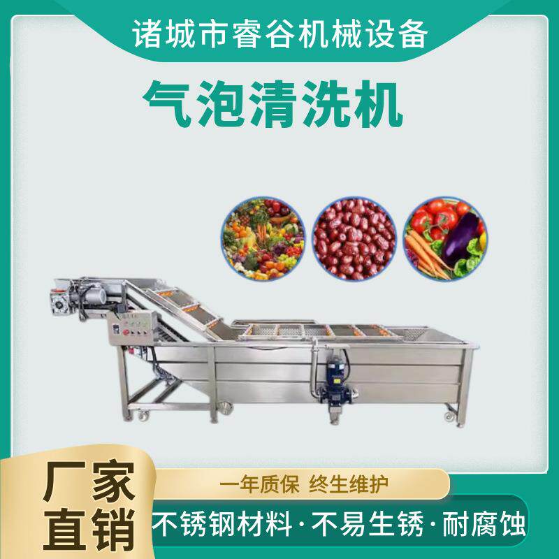 中药水果蔬菜清洗机器 气泡清洗机 全自动气泡清洗机不锈钢