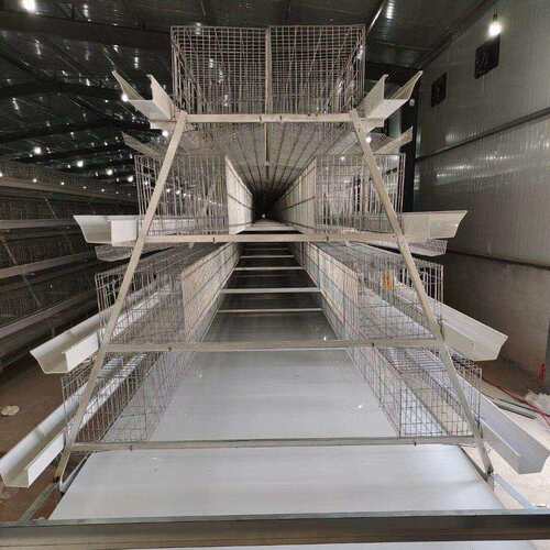 大小全自助阶梯式蛋鸡笼养鸡设备蛋鸡笼自动清粪喂料外贸可采购