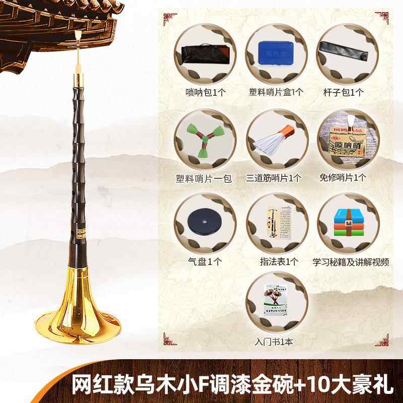 正品王家彪网乌调木唢呐乐器初红学者全套民族喇叭d降B调考入门专