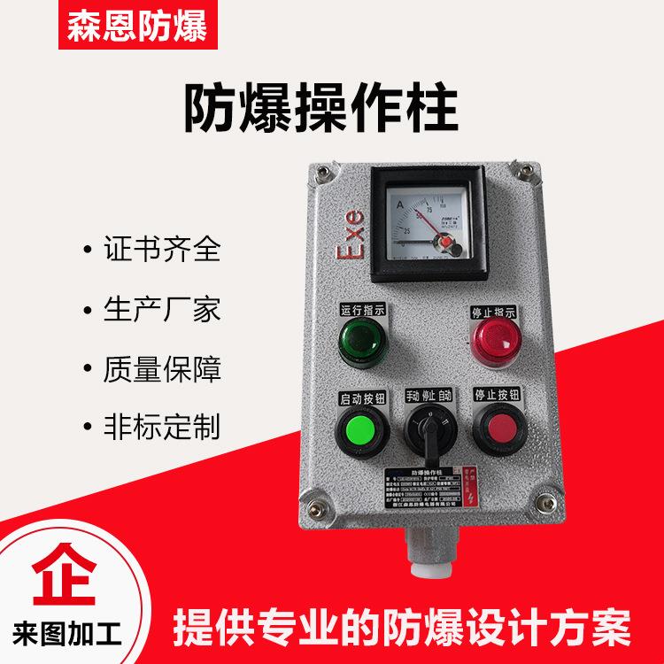 防爆操作控制箱防腐按钮箱两灯两钮一表防水防尘立式挂式IIB