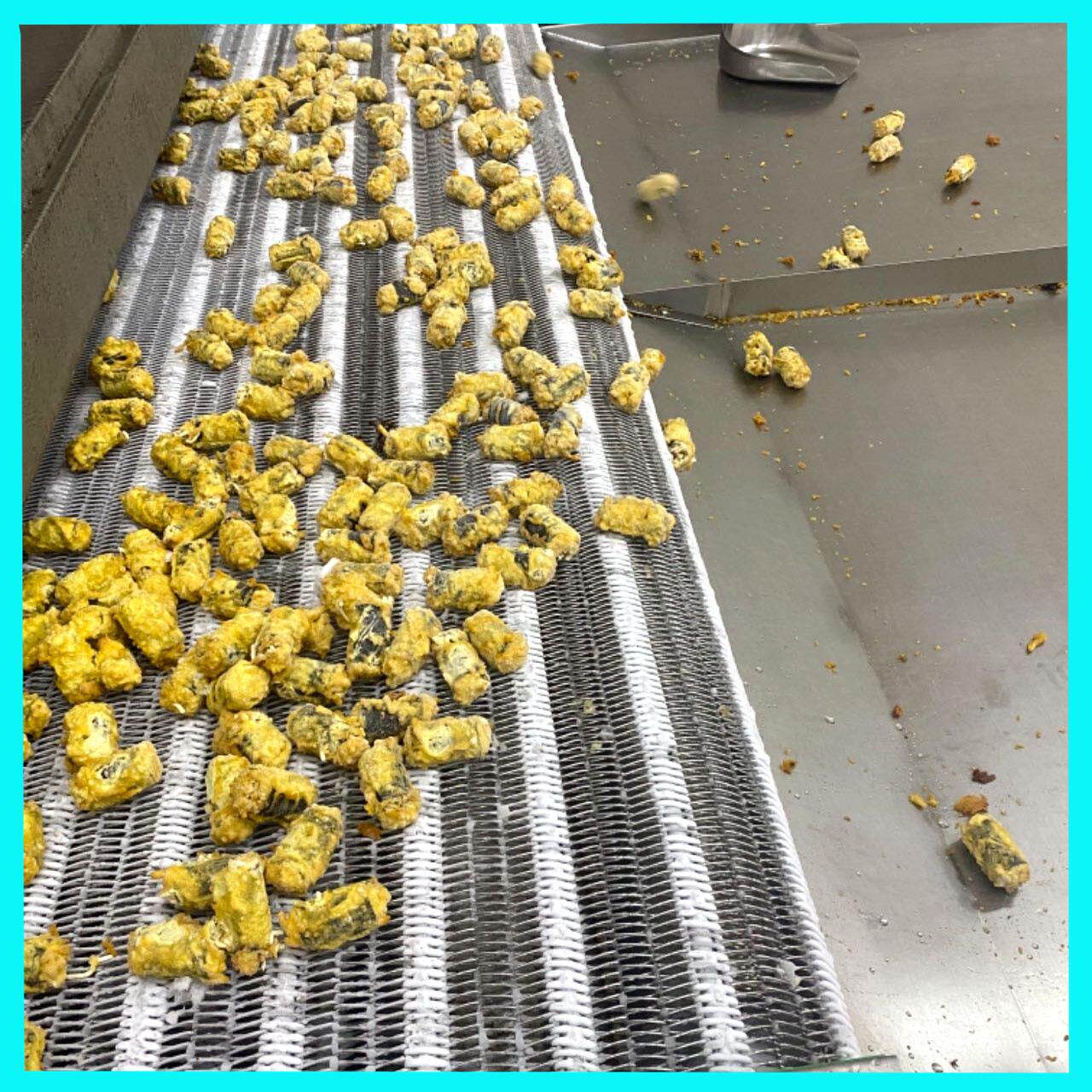 紫菜卷加工设备 海苔包粉条上浆油炸速冻生产线机器 海苔卷油炸线