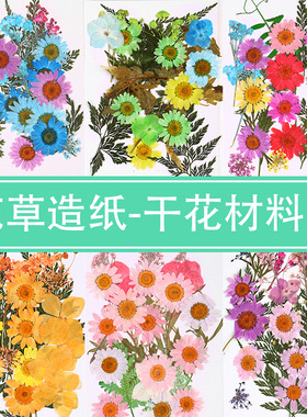 diy造纸术古法干花材料餐桌花艺