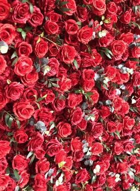 仿真红布底花墙玫花瑰墙背色景装饰婚庆花艺背景装饰网打卡背FRD0