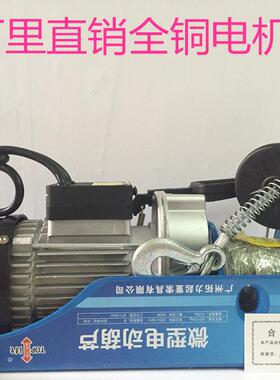 微型电动葫芦家用220V，纯铜电机，承重从100kg至1000kg，PA200