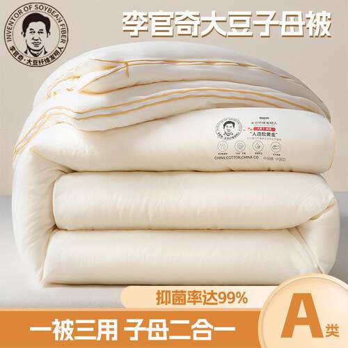 a类子大豆被纤维被芯豆被子母被冬被棉大花被正加厚款冬秋季