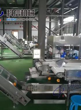 中小型整套沙棘果酱生产线 全自动沙棘酱灌装设备 果酱加工生产线