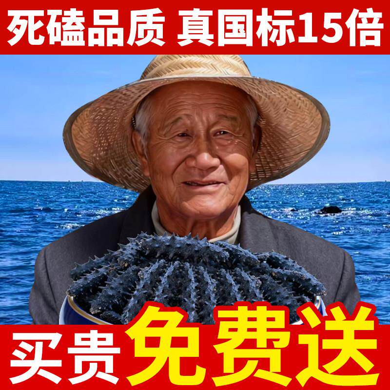 [礁藏参王]老獐9年野生大连海参干货500g特价正品 辽参干海参礼盒