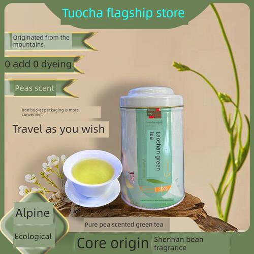 砀山原产绿茶精挑细选秋茶浓味特浓豌豆香实惠100g小罐