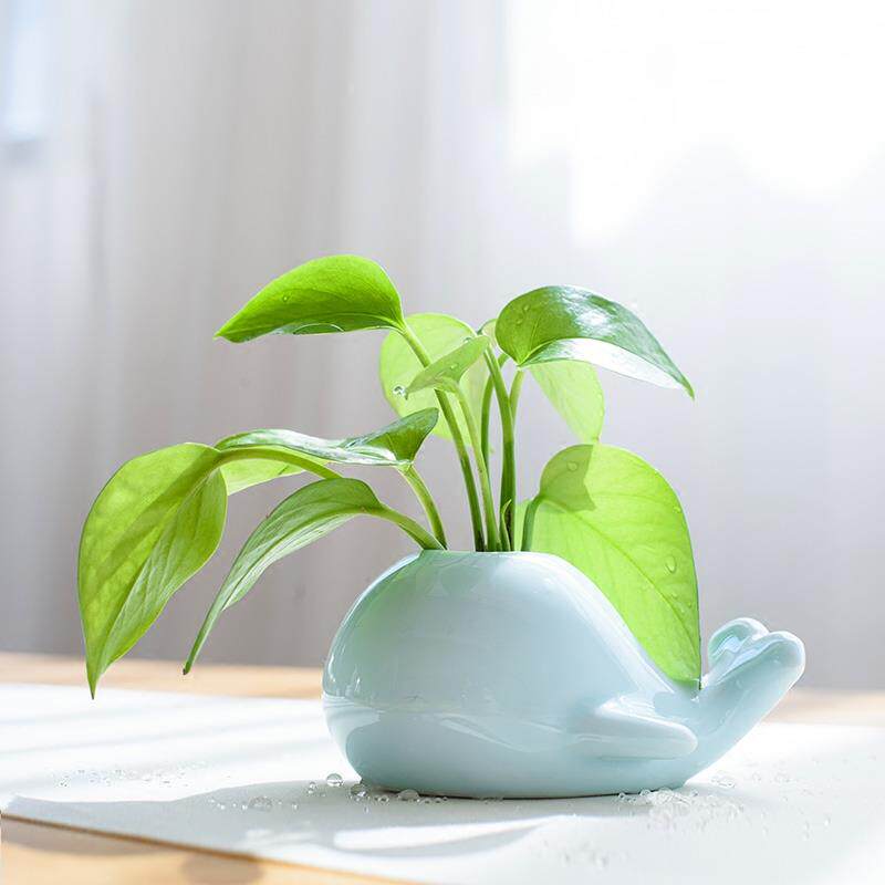 创意鲸鱼大象青瓷小花瓶 家居水培陶瓷摆件 茶道花插时尚个性花器