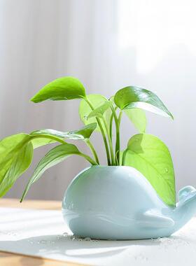 创意鲸鱼大象青瓷小花瓶 家居水培陶瓷摆饰 茶道花插时尚个性花器