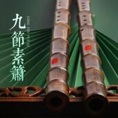 正品 古风专业演奏箫初学自G紫竹九节萧乐八孔全素F调洞学萧笛民族