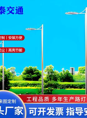 LED路灯 户外照明路灯 单双臂户外路灯厂家直销6810米路灯