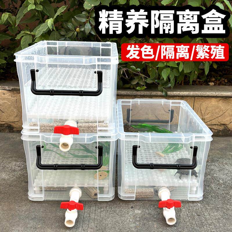 乌龟发色盒多功能饲养隔离沉淀箱鱼苗繁殖孔雀鱼凤尾孵化产卵鱼缸