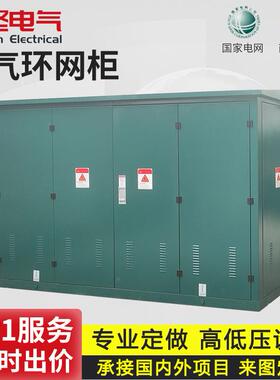 10kv高压开关柜环网柜HXGN-15户外成套配电柜箱式开闭所sf6充气柜