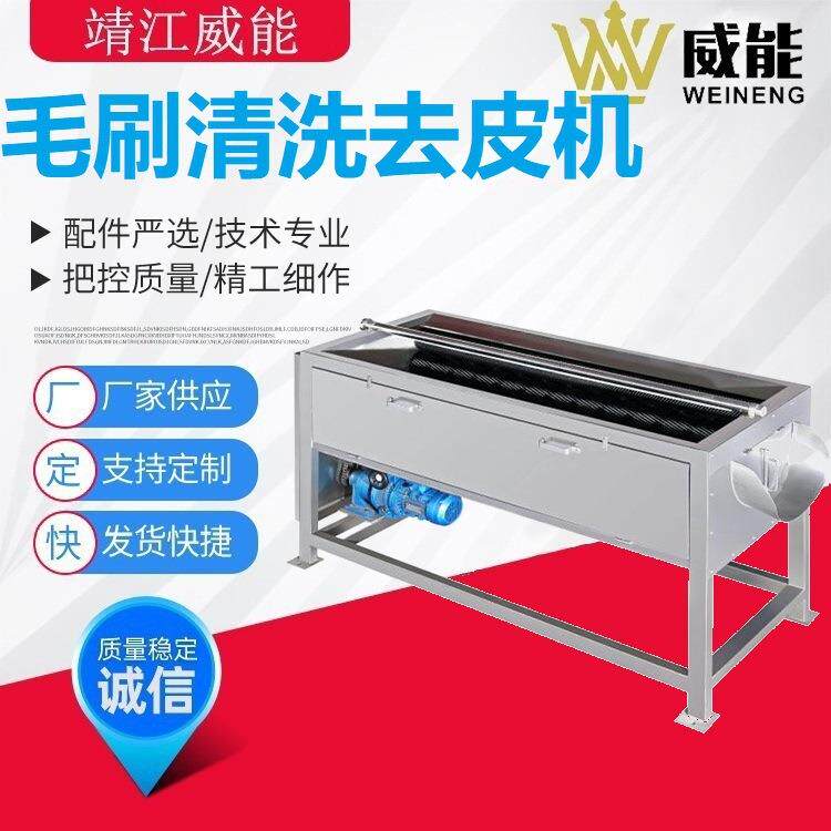厂家直销大型工业商用菠萝橙子苹果红薯土豆毛刷清洗去皮机