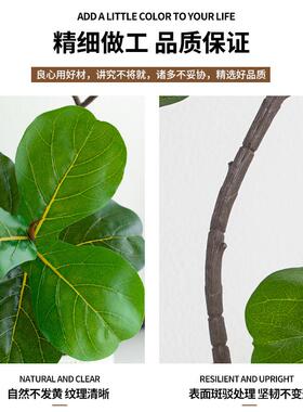 真客栽厅仿PKP绿植盆琴榕室内电叶视柜沙发旁装饰品高端轻奢仿生