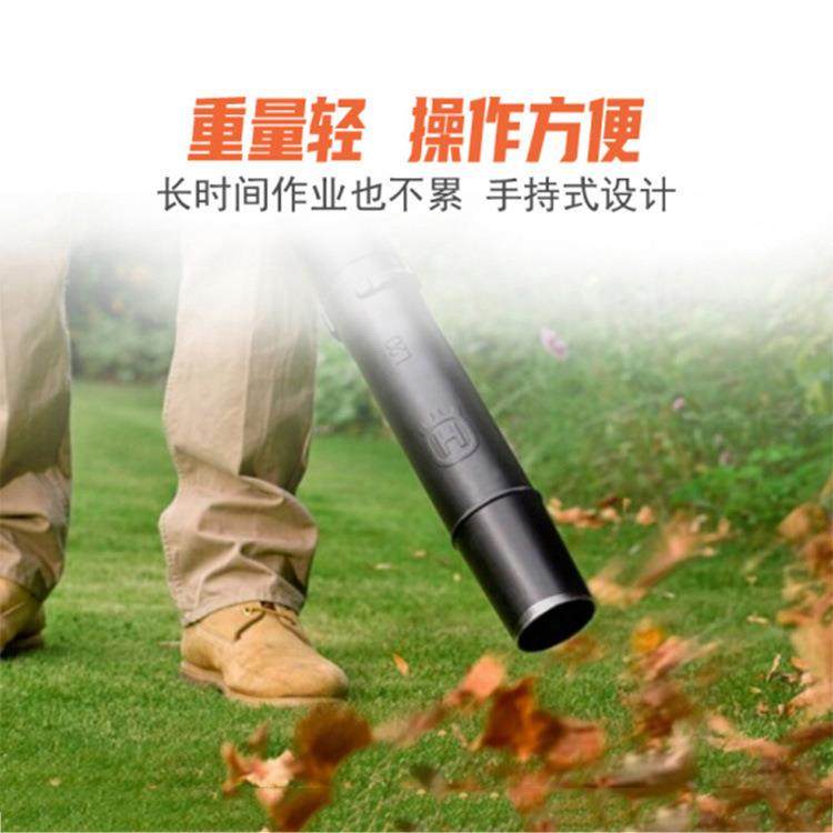 富世华536LiB风力强劲工程除尘机公园道路清扫机锂电大风量吹灰机