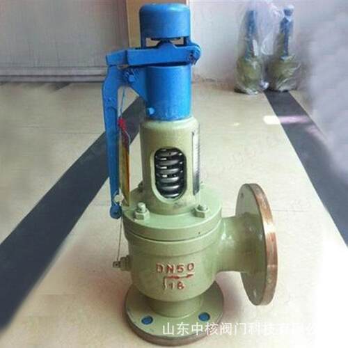 安全阀DN100A48Y-16C/25C/40C不锈钢弹簧式蒸汽A41YA42Y