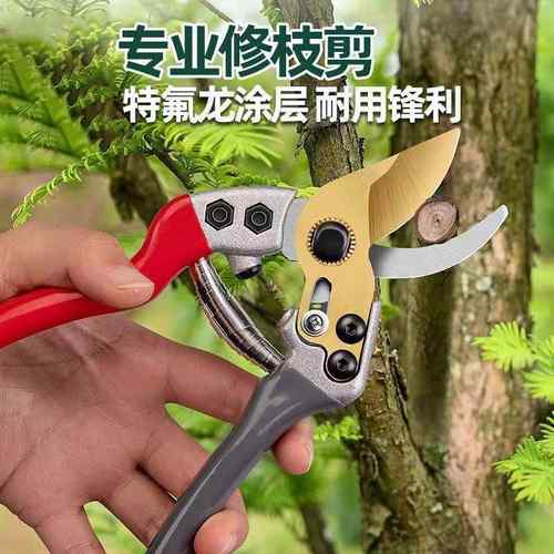 德国SK5强力园艺剪不锈钢省力修剪枝果树粗枝树枝专用剪子