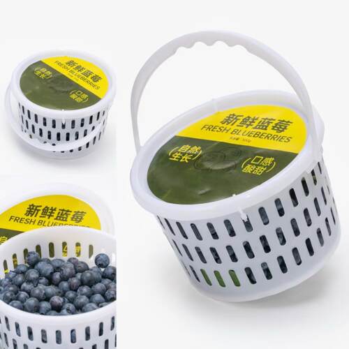 蓝莓篮有盖1斤2斤采摘篮枇杷篮塑料篮砂糖橘筐子新料手提水果篮