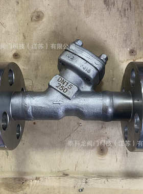 GL41H-250R 不锈钢 F316 高压Y型过滤器 DN15 20 25 32 40 50