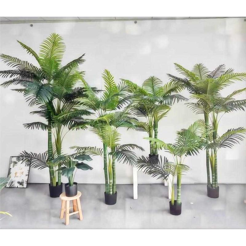 葵尾室内装饰盆栽凤尾天竺葵假植绿葵葵散盆景树仿真真植物