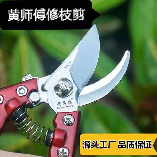 修枝剪果树剪刀剪枝器省力SK5钢树枝剪园艺剪刀园林工具花艺剪刀