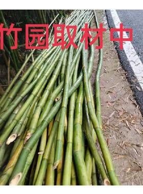 产地箩箩筐竹编筐竹制背品背篼背夹煤背缩口箩工地农村WHN矿专用