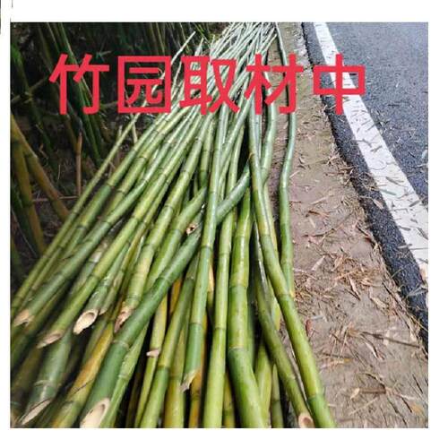 产地箩箩筐竹编筐竹制背品背篼背夹煤背缩口箩工地农村WHN矿专用