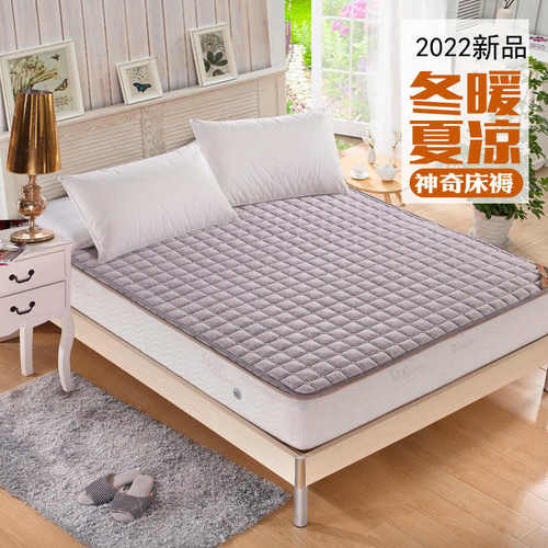 厂家直销冬暖夏凉薄床垫四季可用榻榻米功能型床垫春夏床褥子垫被