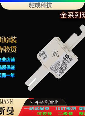 巴斯曼170M3208 170M3209 170M3210 现货供应优价供应 快熔保险丝