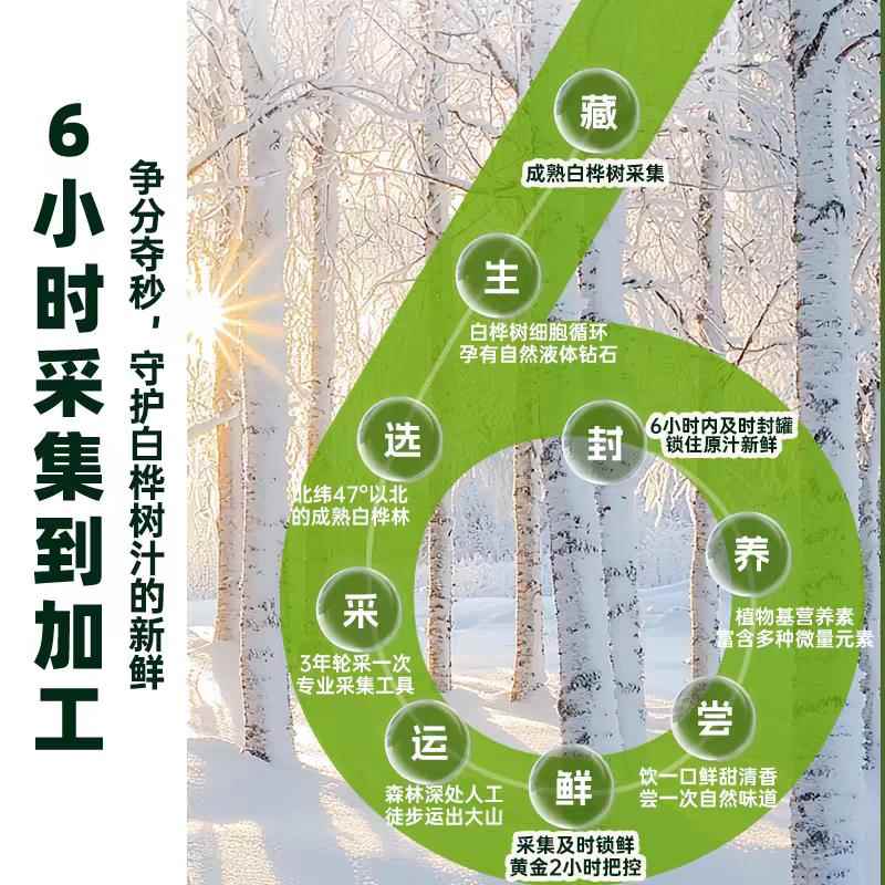 天然白桦树汁原液旗舰店100%桦树原浆非浓缩NFC植物饮料小兴安岭