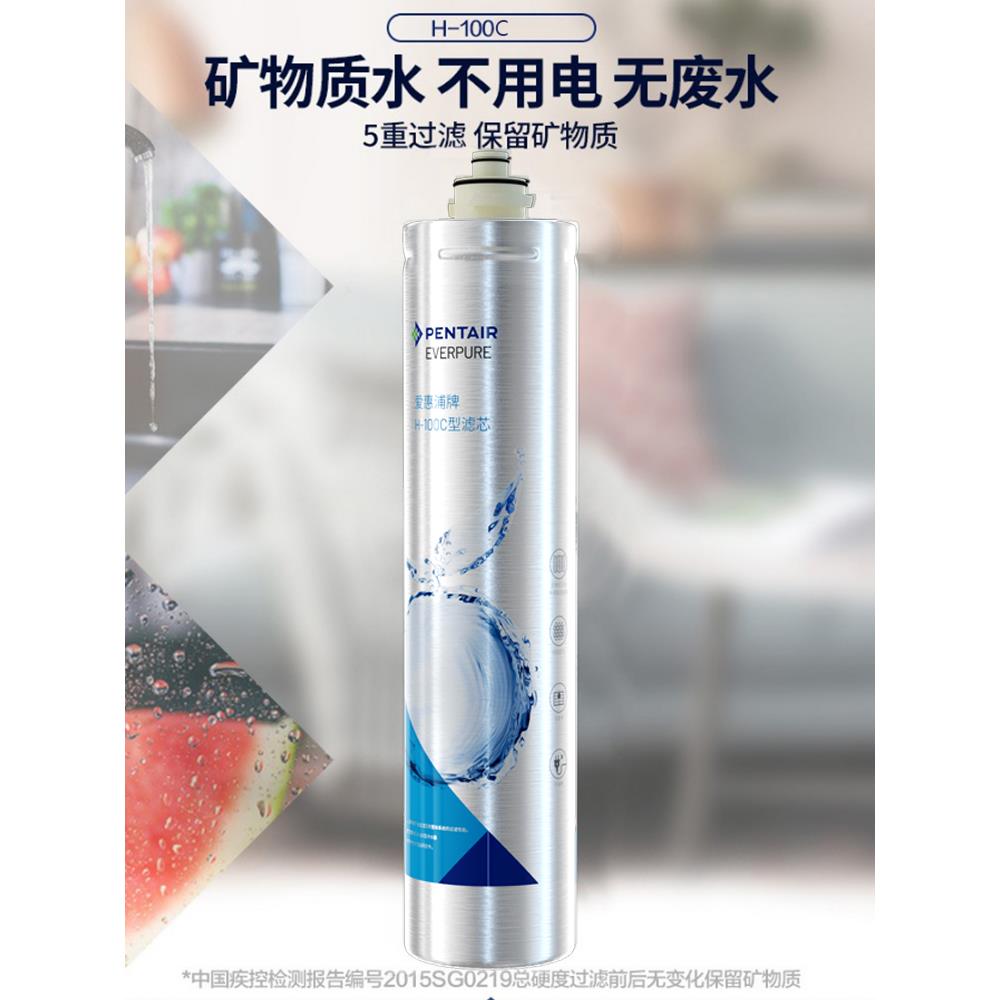 堡讯适用PENTAIR滨特尔EVERPURE爱惠浦主滤芯H-100家用净水器过滤