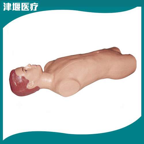 生产供应骨髓穿刺训练模型JY/CK816上海津堰
