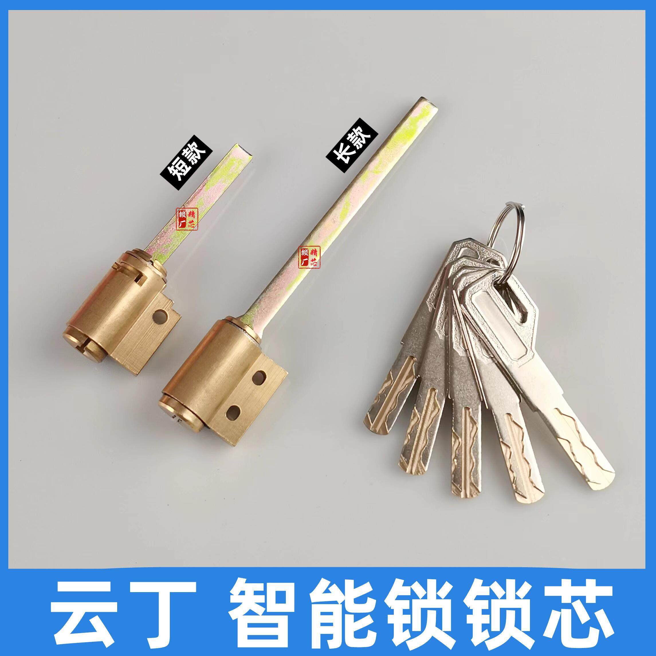 适用云丁下插芯C级智能锁蛋壳公寓大门密码锁指纹锁专用锁芯