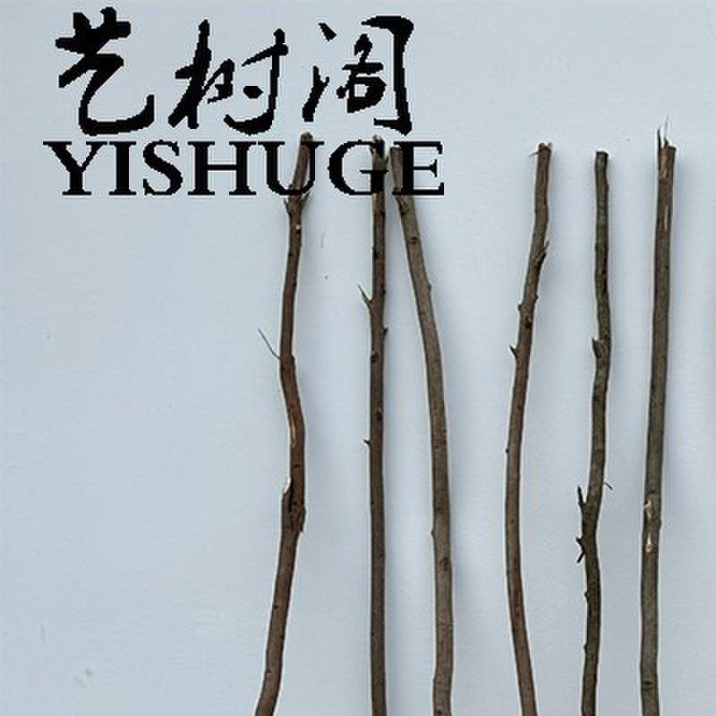 干树枝装饰干枝幼儿园diy儿童手工原木干枝条自然木棍枯树支材料