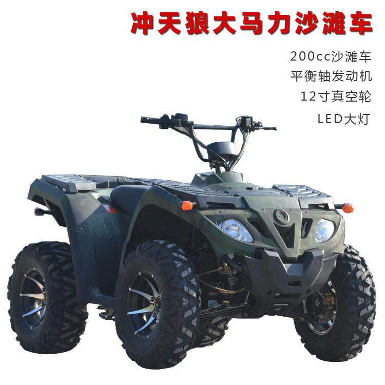 全地形大功率沙滩车ATV二驱四驱沙滩四轮越野摩托车景区游玩车