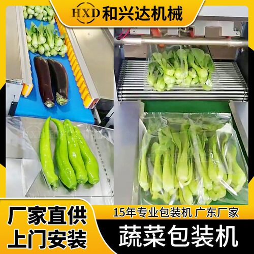 全自动蔬菜包装机菜心瓜果套袋打包机450果蔬装袋打孔枕式包装机