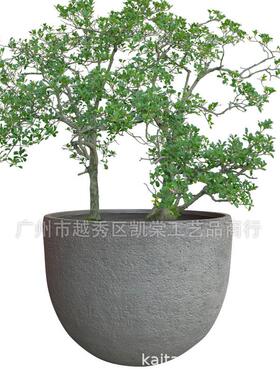 现代简约圆形水泥种植花盆室内户外庭院花园别墅绿植设计景观摆设
