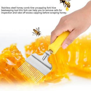 Stainless Honey Scraper Tool Shovel Steel