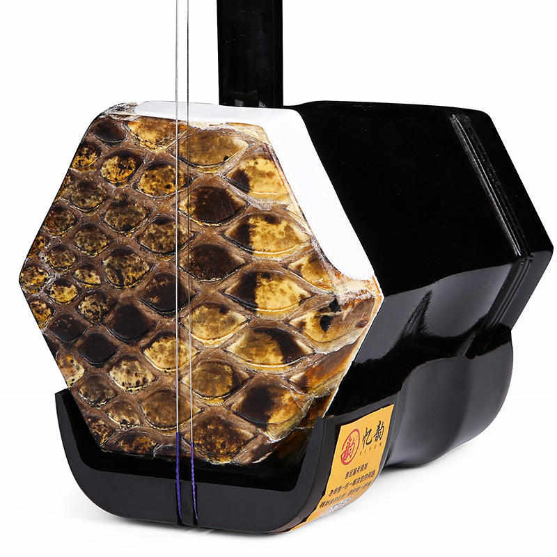 金泰轩工厂制作 色木二胡乐器厂家供应儿童初学练习胡琴