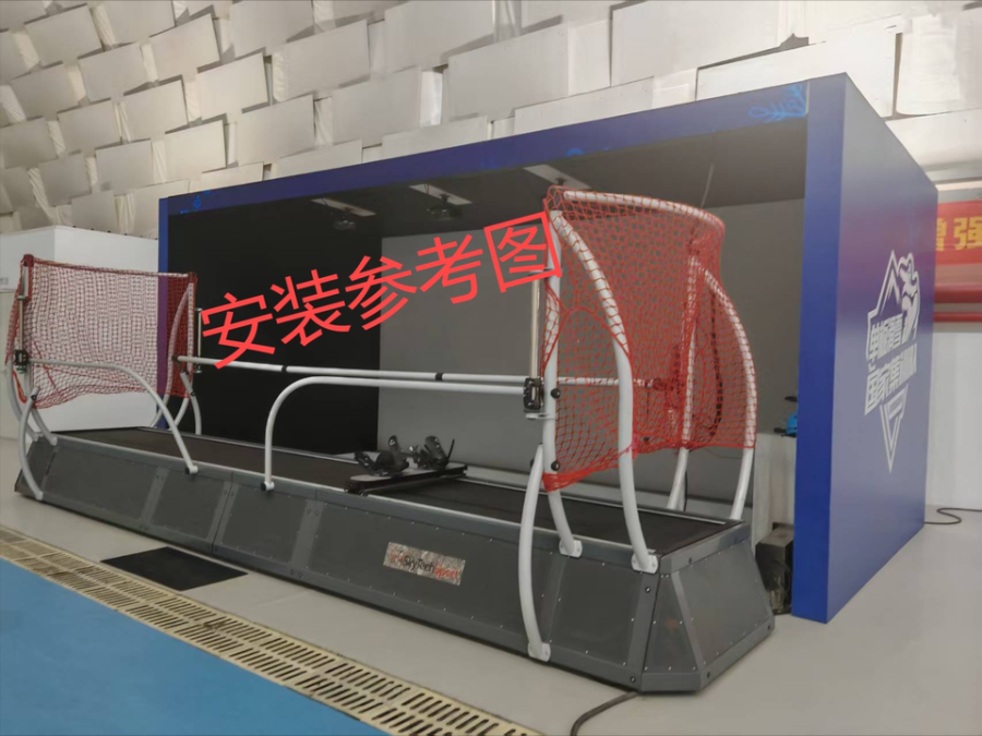 1月1日南京某公司所有的两台未安装模拟滑雪器网络拍卖公告