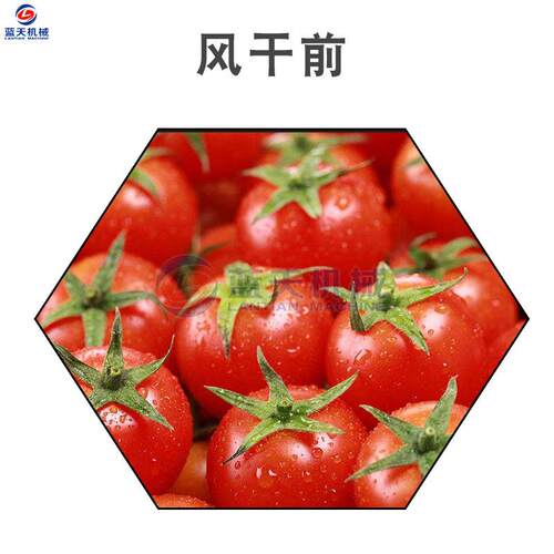蓝多转功能果蔬风干机翻式果蔬风干机不钢果蔬食LT-DGNGS锈天品风