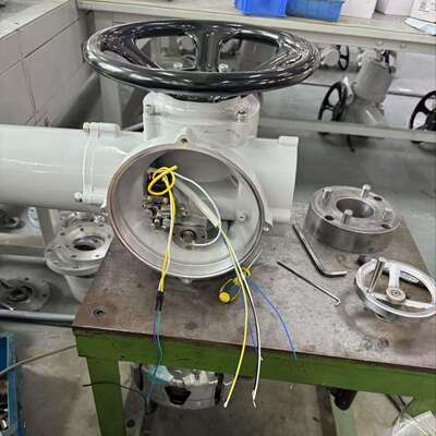 厂家直供DZB10执行器 防爆CT4 终身维护 ZB10替代澳托克/西博思