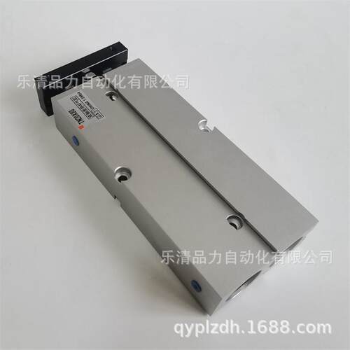 双轴气缸TN10XTN16X50/60/75X80X90X100X125X150x175-200*225-S-H