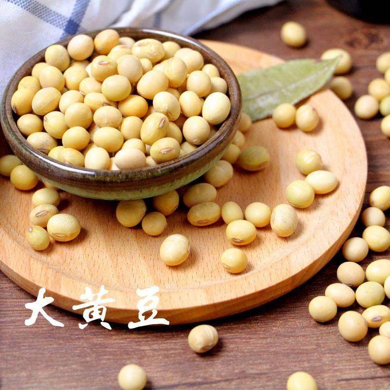 农家自种特煲汤炖猪蹄大黄豆老品圆大豆熟粉打豆浆专用非转基因
