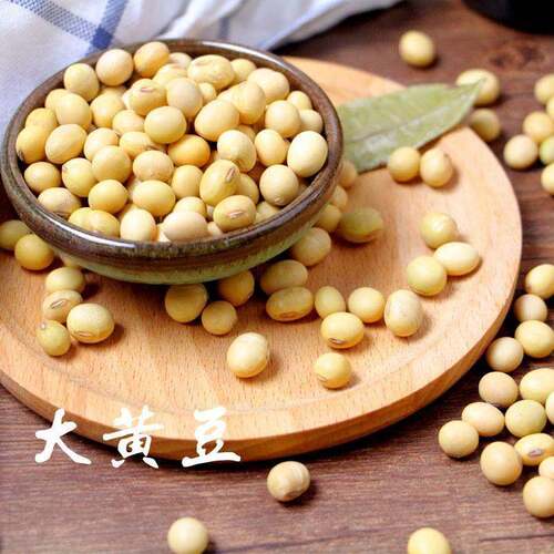 农家自种特煲汤炖猪蹄大黄豆老品圆大豆熟粉打豆浆专用非转基因