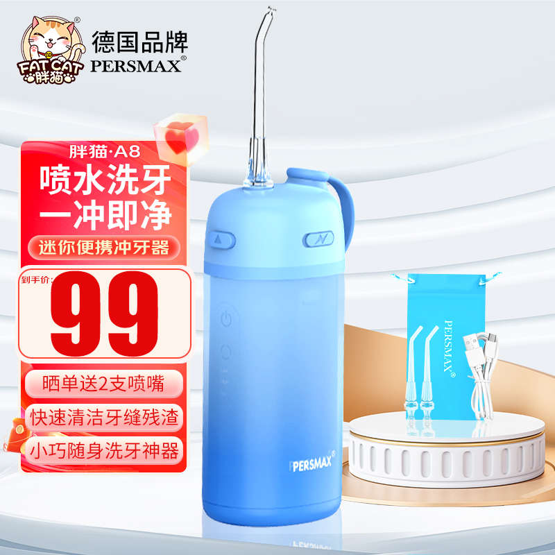 胖猫冲牙器迷你洗牙器喷水清洁口腔家用正畸敏感牙缝水牙线送礼物
