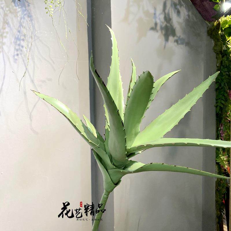 仿真芦荟盆栽植物 绿植多肉龙舌兰热带装饰摆件拍摄摆放花卉道具